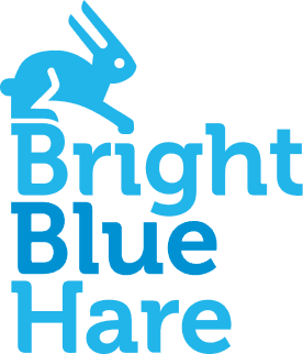 Bright Blue Hare